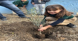 Zeytin Ağacı Dikme Etkinliği